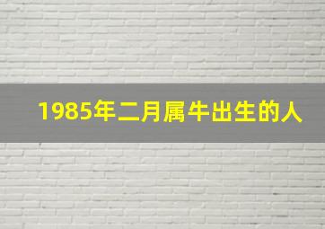 1985年二月属牛出生的人