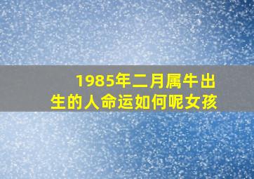 1985年二月属牛出生的人命运如何呢女孩