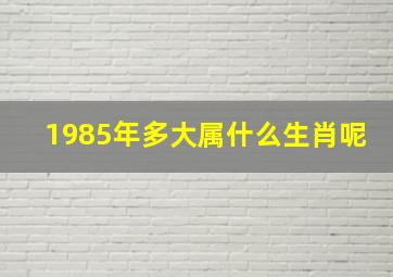 1985年多大属什么生肖呢