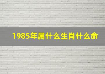 1985年属什么生肖什么命