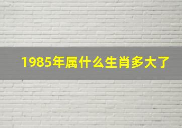 1985年属什么生肖多大了