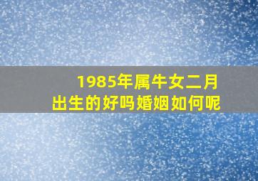 1985年属牛女二月出生的好吗婚姻如何呢