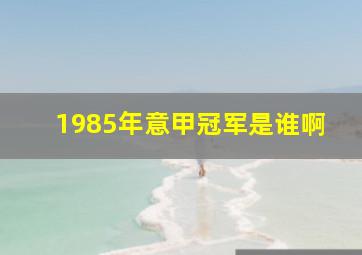 1985年意甲冠军是谁啊