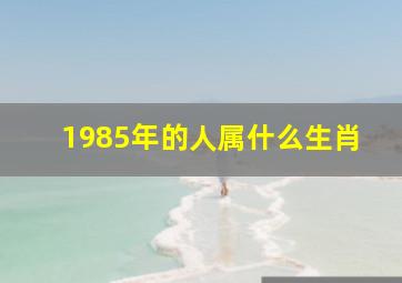 1985年的人属什么生肖