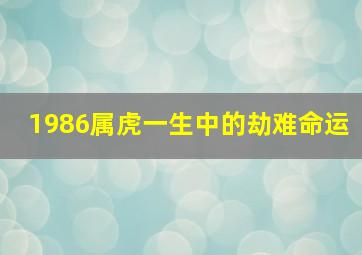 1986属虎一生中的劫难命运