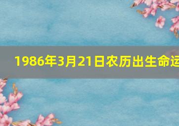 1986年3月21日农历出生命运