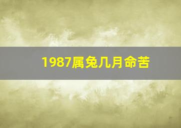 1987属兔几月命苦