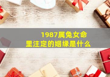 1987属兔女命里注定的姻缘是什么