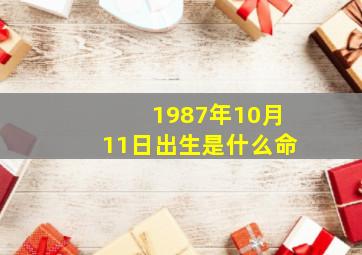 1987年10月11日出生是什么命