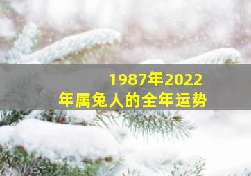 1987年2022年属兔人的全年运势