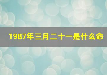 1987年三月二十一是什么命