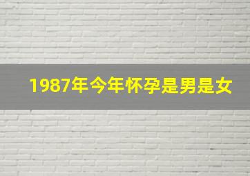 1987年今年怀孕是男是女