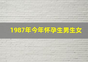 1987年今年怀孕生男生女