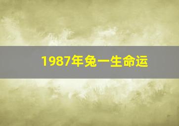 1987年兔一生命运