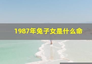 1987年兔子女是什么命