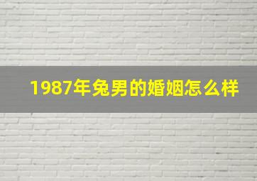 1987年兔男的婚姻怎么样