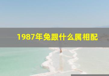 1987年兔跟什么属相配