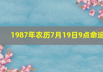 1987年农历7月19日9点命运