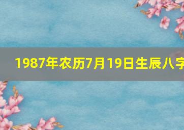 1987年农历7月19日生辰八字