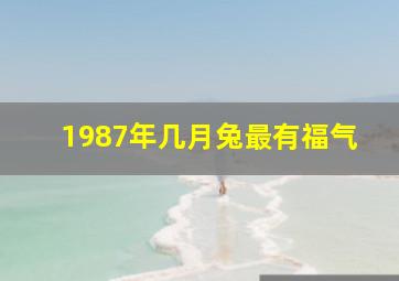 1987年几月兔最有福气