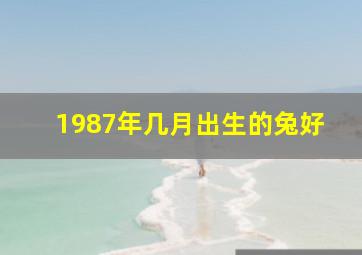 1987年几月出生的兔好