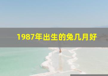 1987年出生的兔几月好