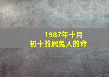 1987年十月初十的属兔人的命