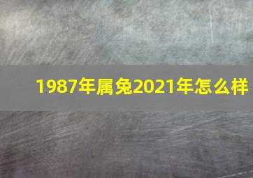 1987年属兔2021年怎么样