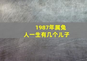 1987年属兔人一生有几个儿子