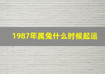 1987年属兔什么时候起运