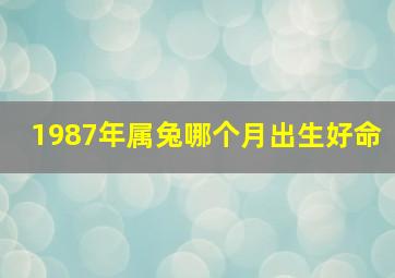 1987年属兔哪个月出生好命