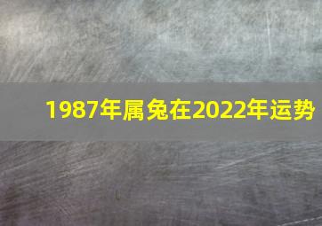 1987年属兔在2022年运势