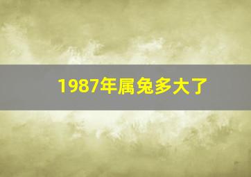 1987年属兔多大了