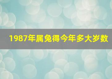 1987年属兔得今年多大岁数