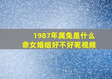 1987年属兔是什么命女婚姻好不好呢视频