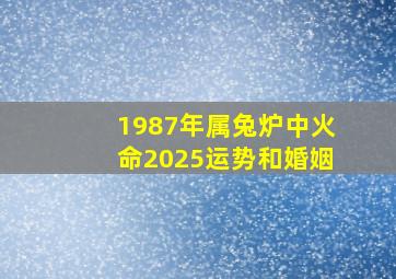 1987年属兔炉中火命2025运势和婚姻