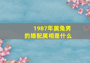 1987年属兔男的婚配属相是什么