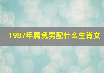 1987年属兔男配什么生肖女