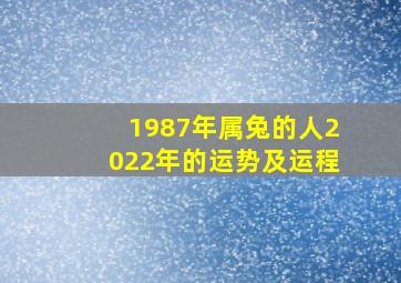 1987年属兔的人2022年的运势及运程