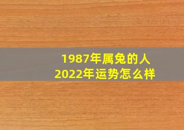 1987年属兔的人2022年运势怎么样