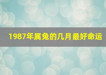 1987年属兔的几月最好命运