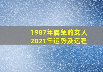 1987年属兔的女人2021年运势及运程