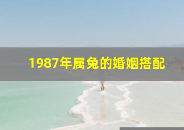 1987年属兔的婚姻搭配