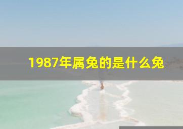 1987年属兔的是什么兔