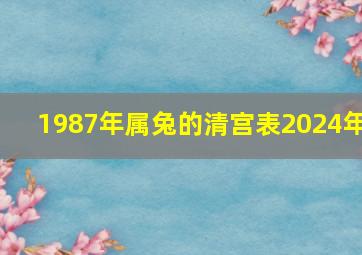 1987年属兔的清宫表2024年