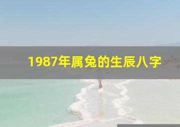 1987年属兔的生辰八字