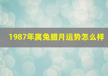 1987年属兔腊月运势怎么样