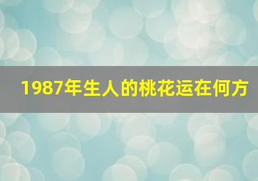 1987年生人的桃花运在何方