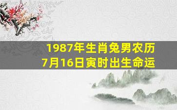 1987年生肖兔男农历7月16日寅时出生命运