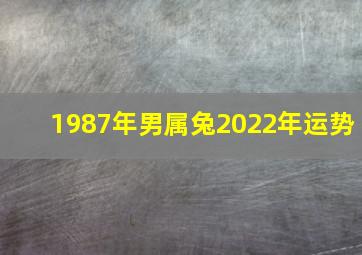 1987年男属兔2022年运势